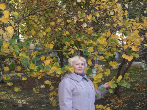 Люба,73года,Курган