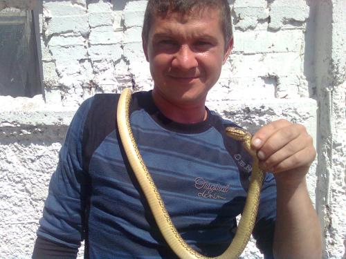 виталик,43года,Одесса