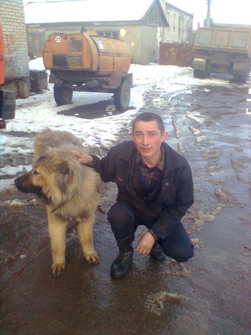 вова,36лет,Ижевск
