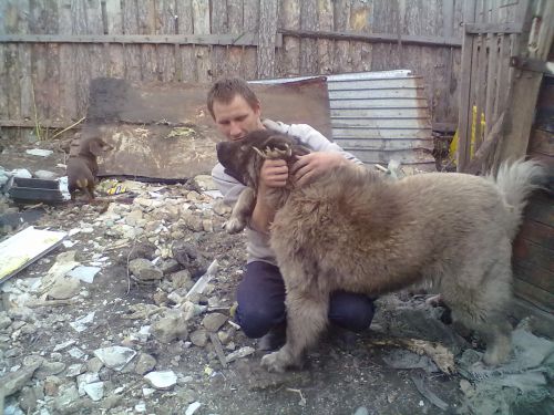 андрей,45лет,Омск