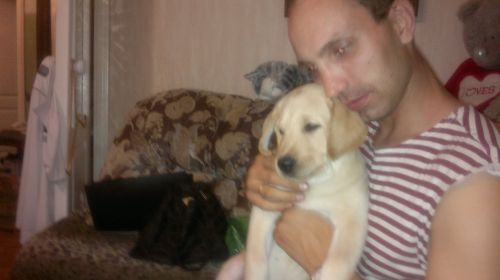 белый,42года,Хабаровск